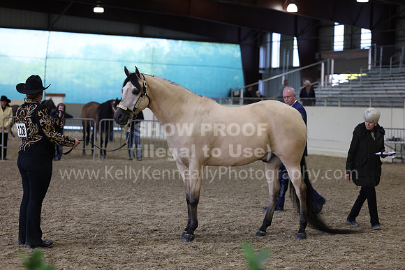 AHANC23_Wed_2837