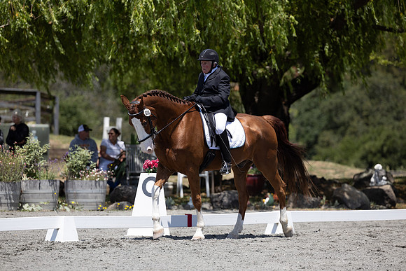 FFDressage23-00194