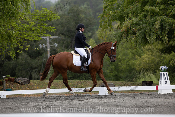 FFDressage23-1318