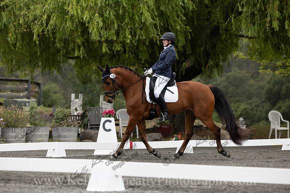 FFDressage23-00044