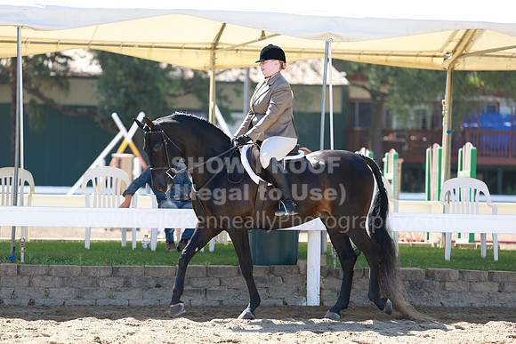 DAHA23_Fri_0610