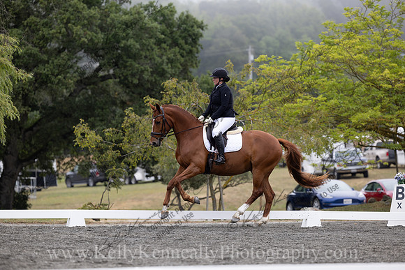 FFDressage23-1401
