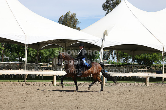DAHA22_Thurs_0817