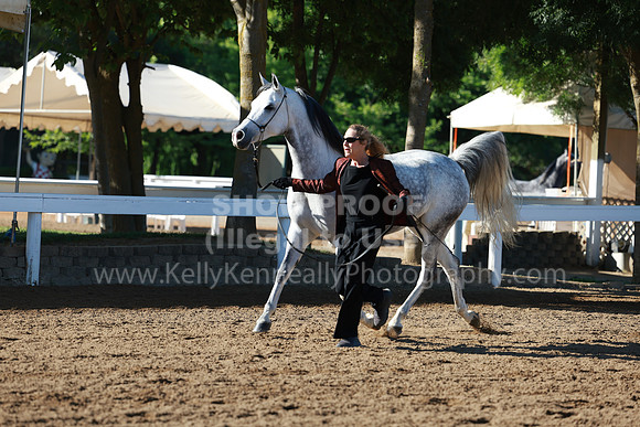 DAHA23_Fri_0093