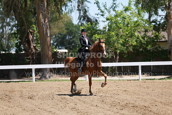DAHA23_Fri_1109