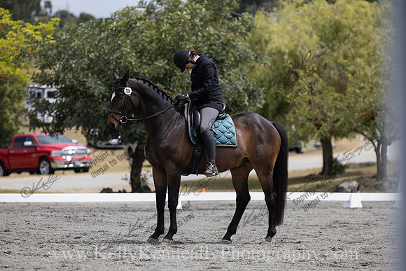 FFDressage23-2225