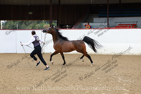 R2CH23_Thurs_0460