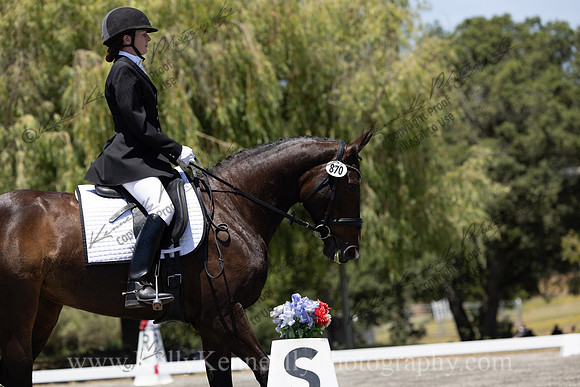 FFDressage23-00264