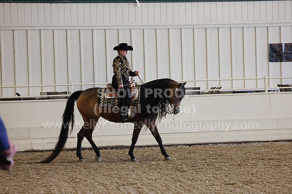 AHANC23_Wed_1345