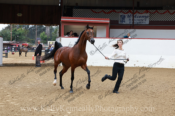 R2CH23_Thurs_0364