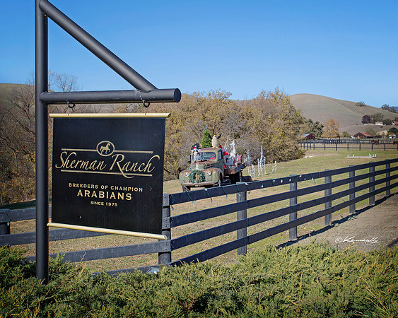 ShermanRanch2015_0012