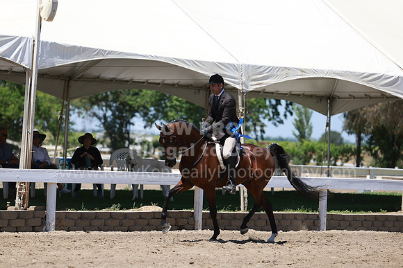 DAHA23_Fri_1583
