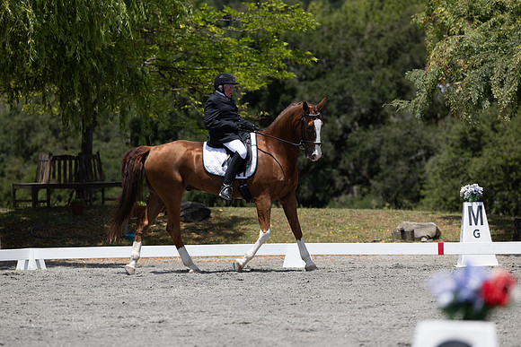 FFDressage23-3164