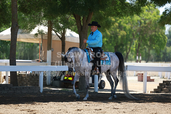 DAHA23_Fri_1378