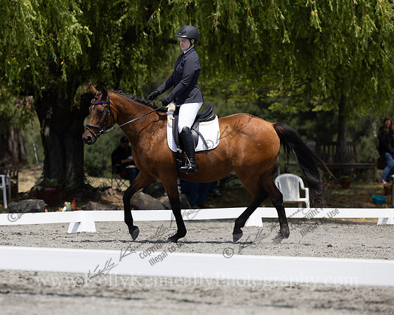 FFDressage23-00154