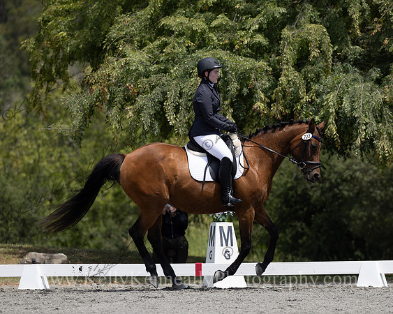 FFDressage23-00163