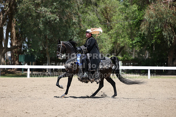 DAHA22_Thurs_1152