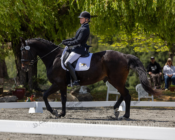 FFDressage23-4974