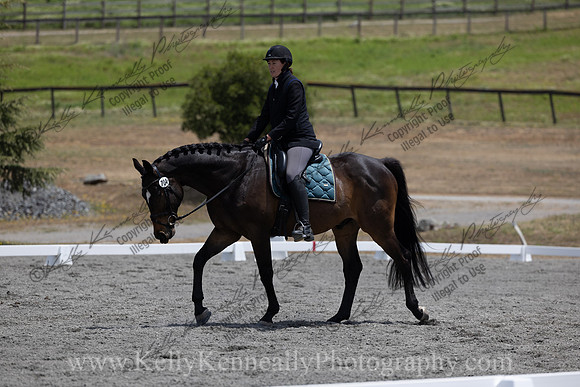FFDressage23-2898