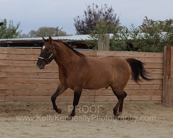 SamsonFall26_3805
