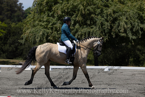 FFDressage23-00282