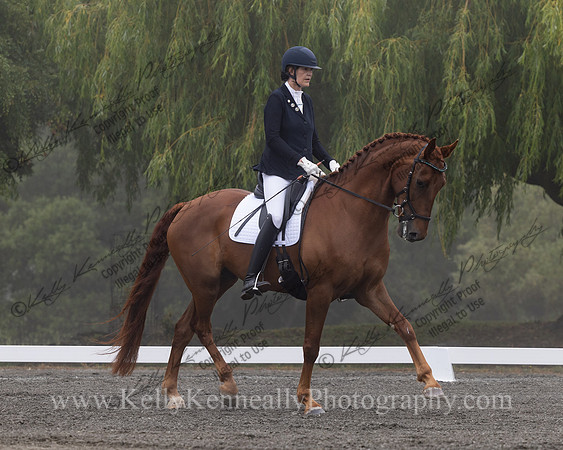 FFDressage23-0093