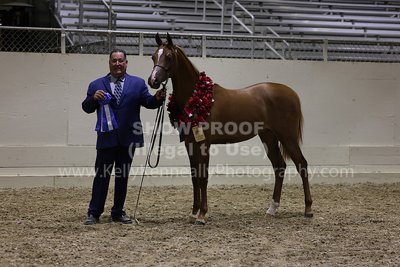 AHANC23_Wed_3201