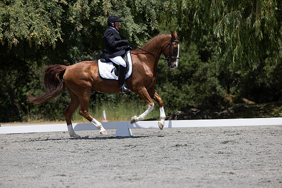 FFDressage23-3393