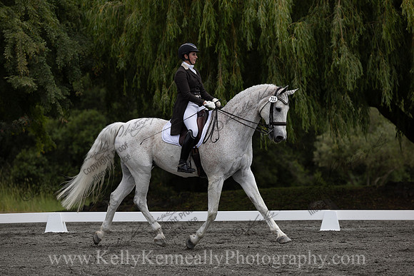 FFDressage23-00113