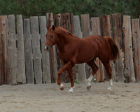 DocFall26_4981