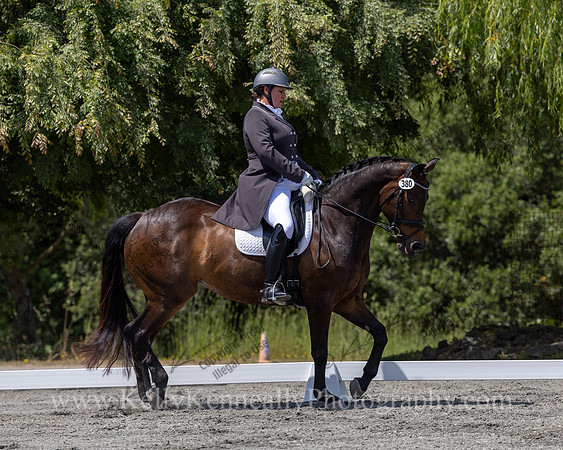 FFDressage23-5358
