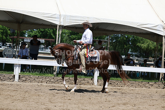 DAHA23_Sun_9200