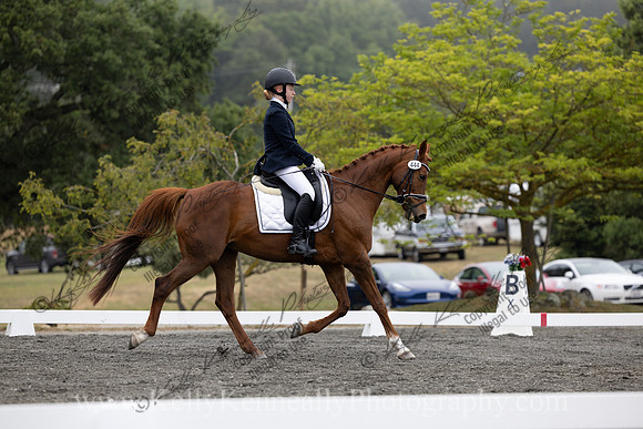 FFDressage23-0944