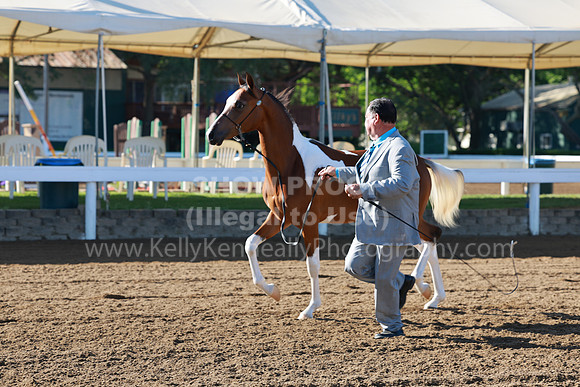 DAHA23_Fri_0022