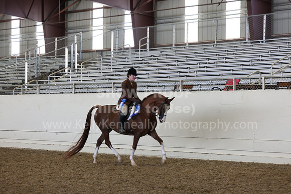 AHANC23_Thurs_1105