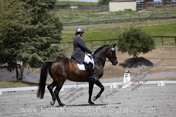 FFDressage23-5439