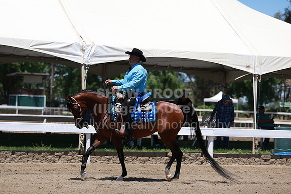 DAHA23_Fri_1327