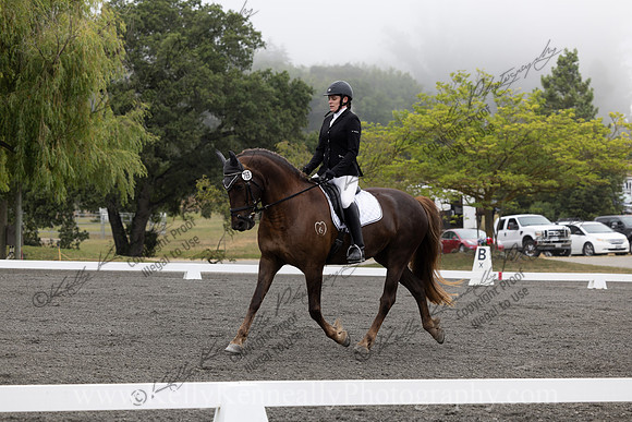 FFDressage23-00033