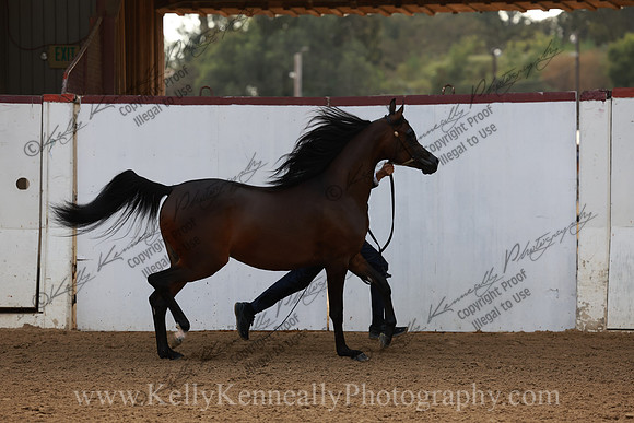 R2CH23_Fri_1230