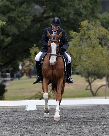FFDressage23-1940