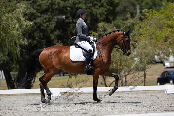 FFDressage23-4317
