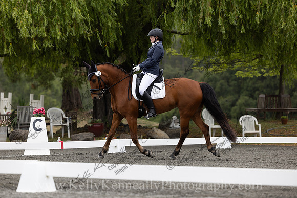 FFDressage23-00043
