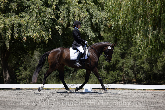 FFDressage23-00257