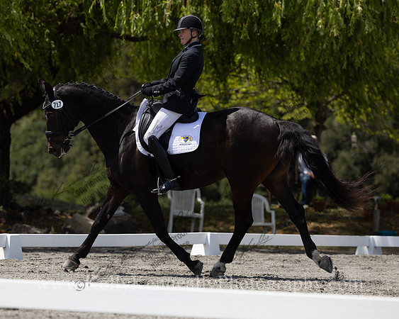 FFDressage23-4968
