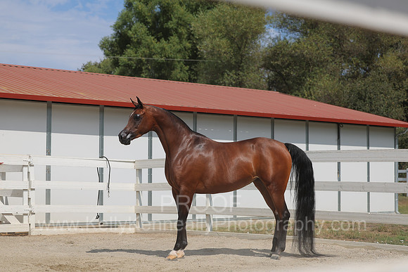 BeckerEvent26_0113
