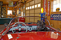 ShermanRanchDogs2015_0922