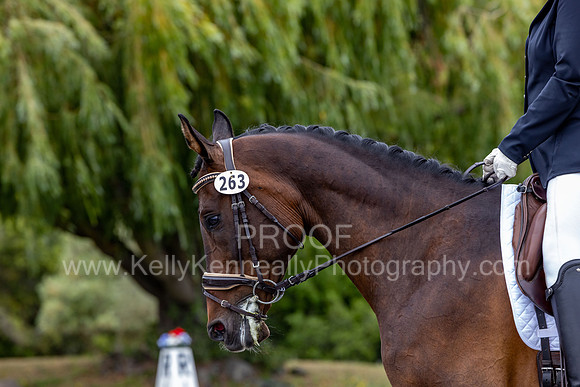 KalypsosKrownRoyal22-3523