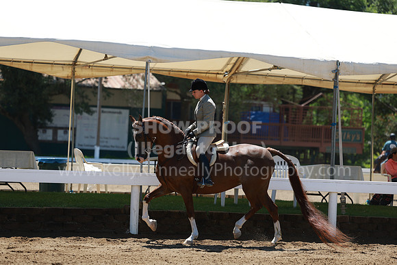 DAHA23_Sun_8930