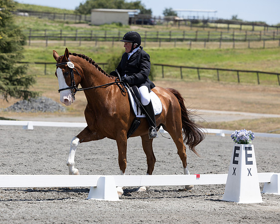 FFDressage23-00195