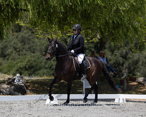 FFDressage23-00208